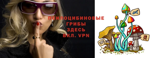 амф Бородино