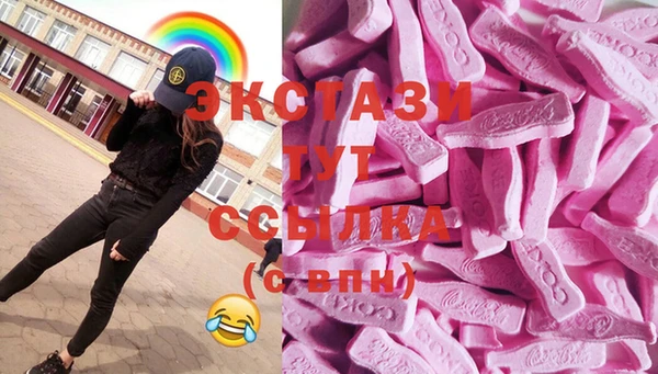 индика Богданович