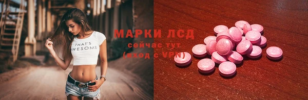 индика Богданович