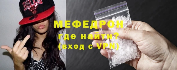 индика Богданович