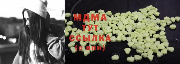 индика Богданович