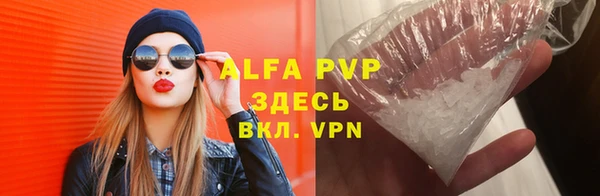 индика Богданович