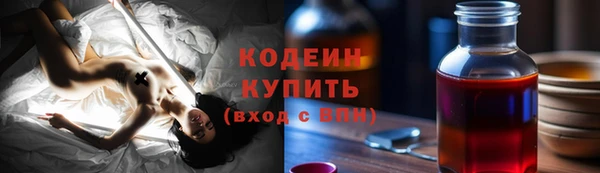 амф Бородино