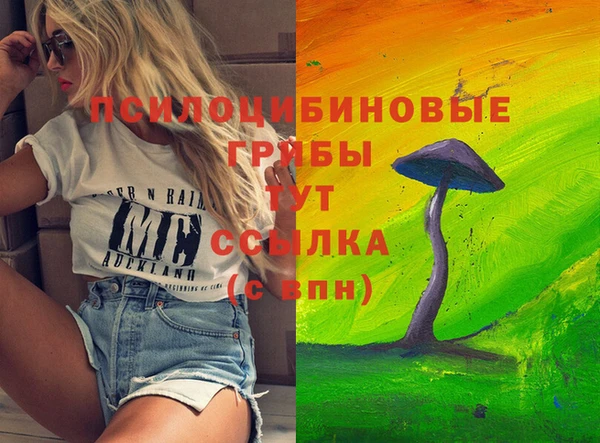 СК Бугульма