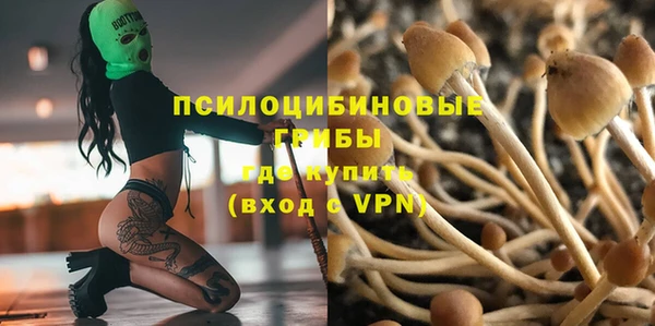амф Бородино
