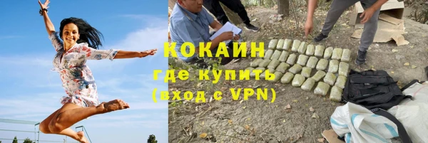 соль ск Богородицк