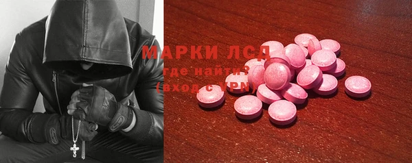 индика Богданович