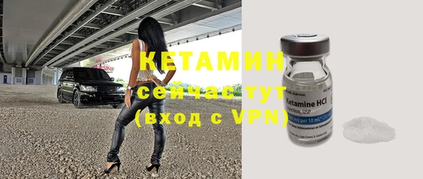 индика Богданович