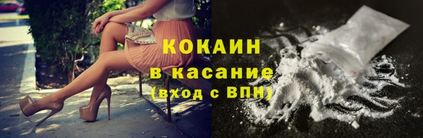 амф Бородино