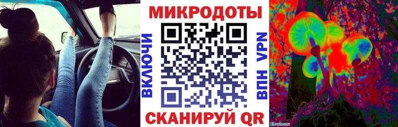 Псилоцибиновые грибы прущие грибы Кирс